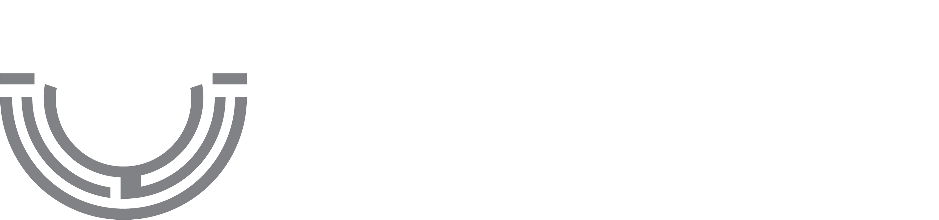 Master Cyber